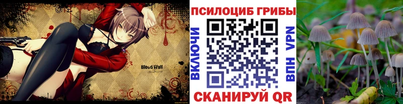 Купить  Канаш  Галлюциногенные грибы прущие грибы 