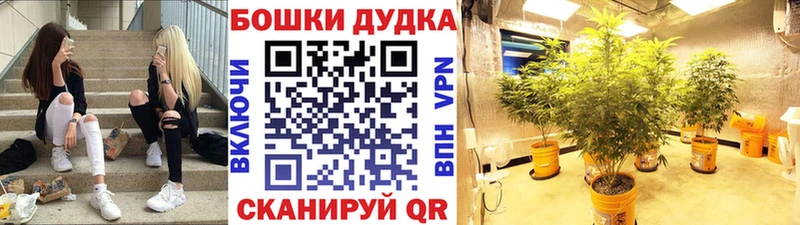Купить  Канаш  Бошки марихуана ГИДРОПОН 